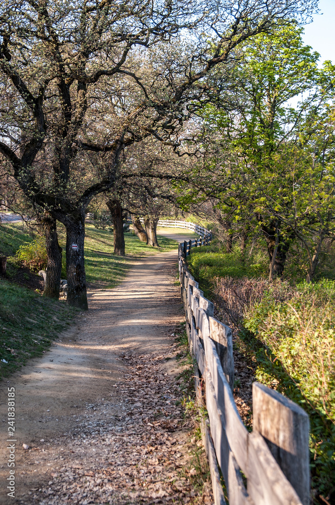 Mountain path Mountain path