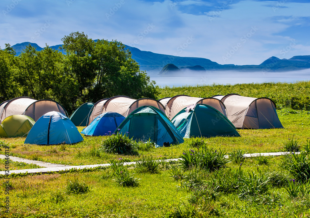Tourists camped in the woods on the shore of the lake on the hillside.