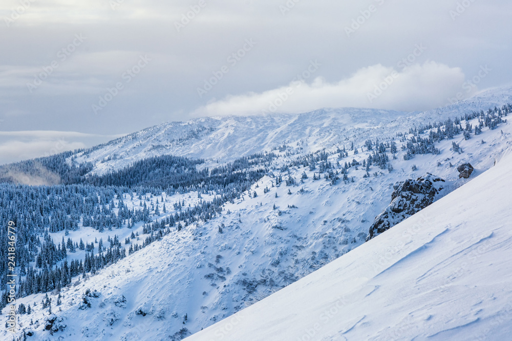 Snowy winter mountains at sun day in Carpathians, Pip-Ivan, Ukraine