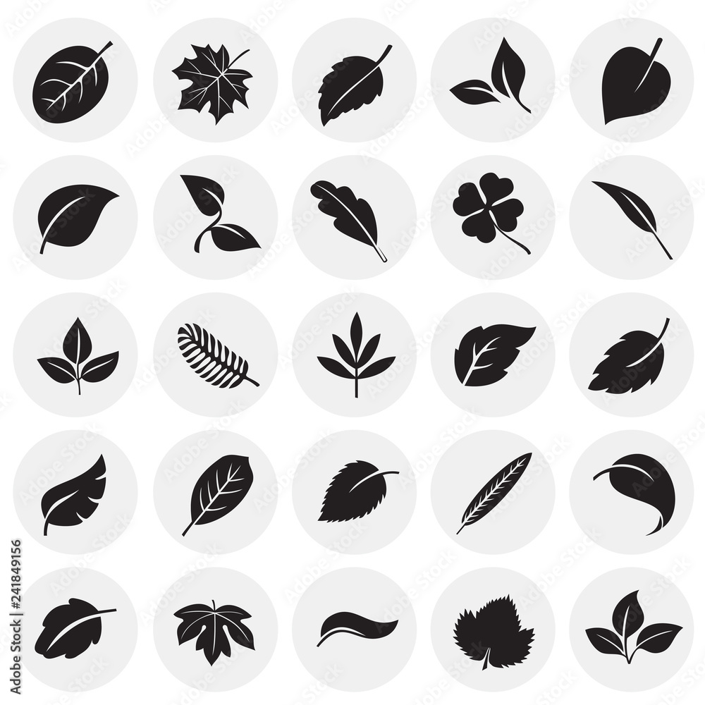 Leafs icon set on circles background for graphic and web design, Modern simple vector sign. Internet concept. Trendy symbol for website design web button or mobile app Leafs icon set on circles background for graphic and web design, Modern simple vector sign. Internet concept. Trendy symbol for website design web button or mobile app