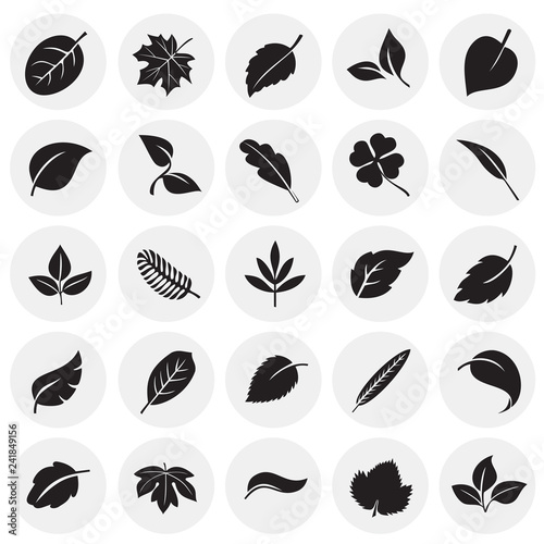 Leafs icon set on circles background for graphic and web design, Modern simple vector sign. Internet concept. Trendy symbol for website design web button or mobile app
