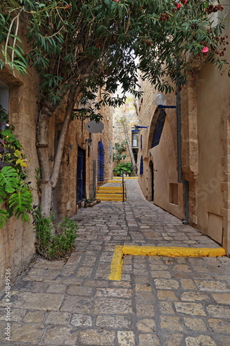 narrow street in old town © Taras