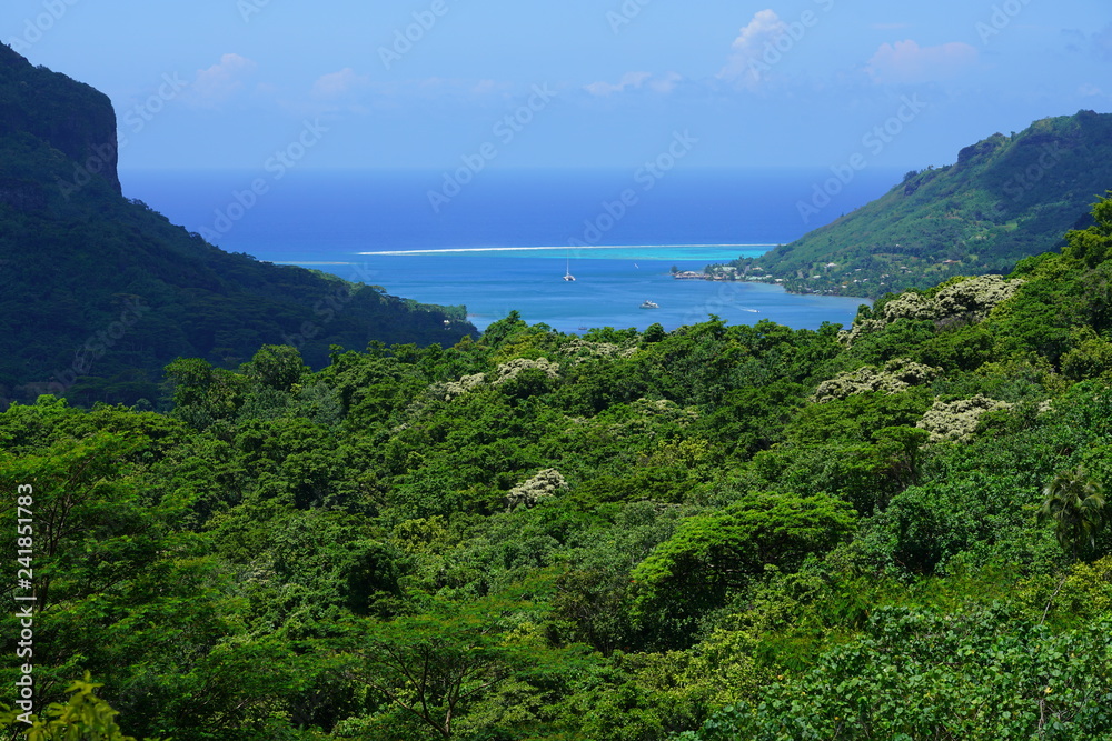 Landscape view overlooking Cook and Opunohu Bays in the island and lagoon of Moorea near Tahiti in French Polynesia, South Pacific, seen from the picturesque Belvedere Lookout