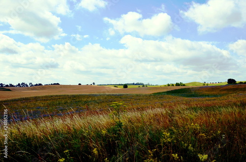 Landscape of Mazurian region in Poland  fields with crops.