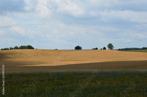 Landscape of Mazurian region in Poland, fields with crops. photo