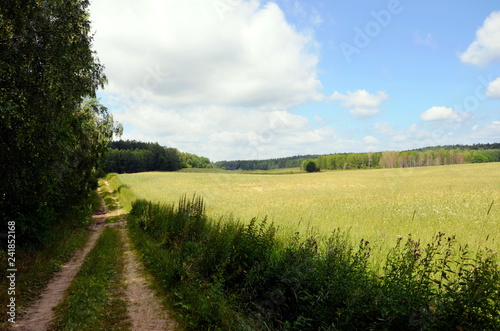 Landscape of Mazurian region in Poland, fields with crops.