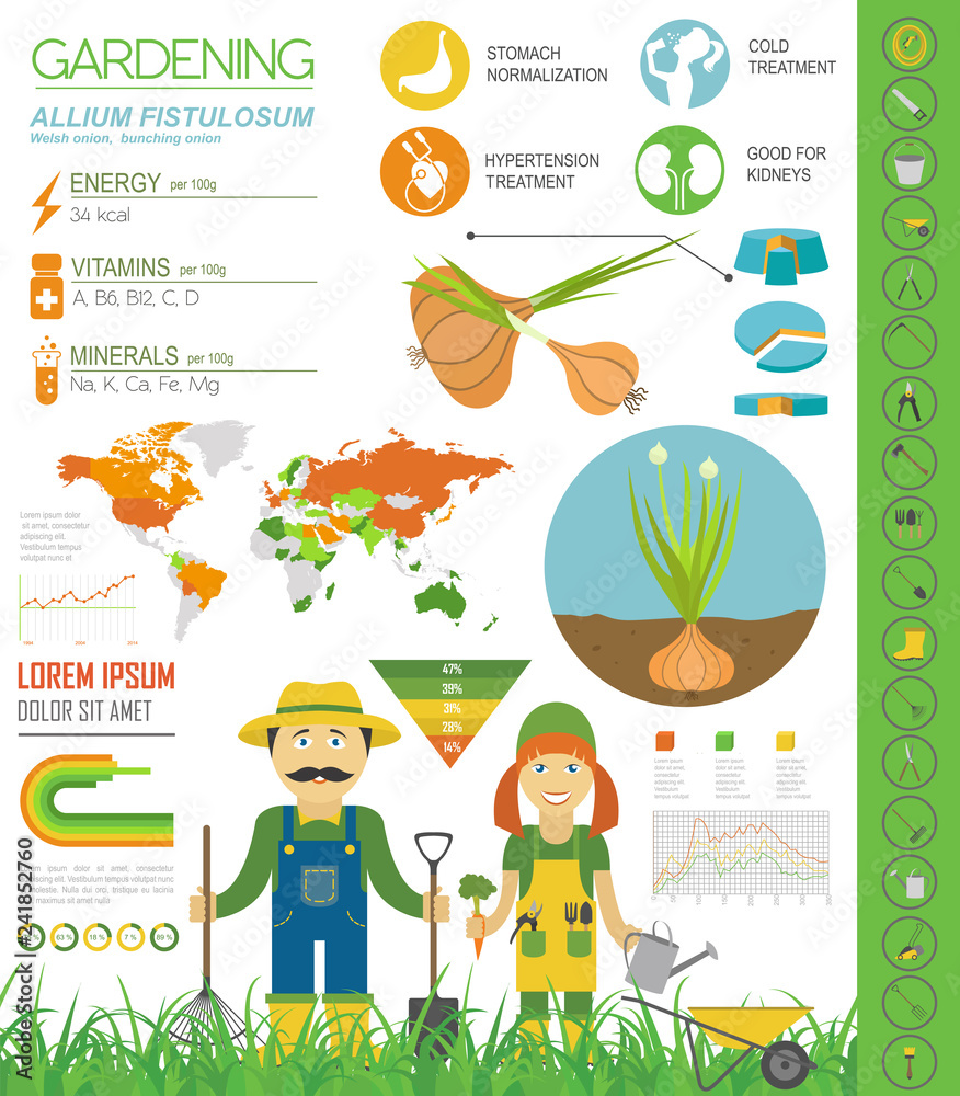 Fototapeta premium Gardening infographic new_30
