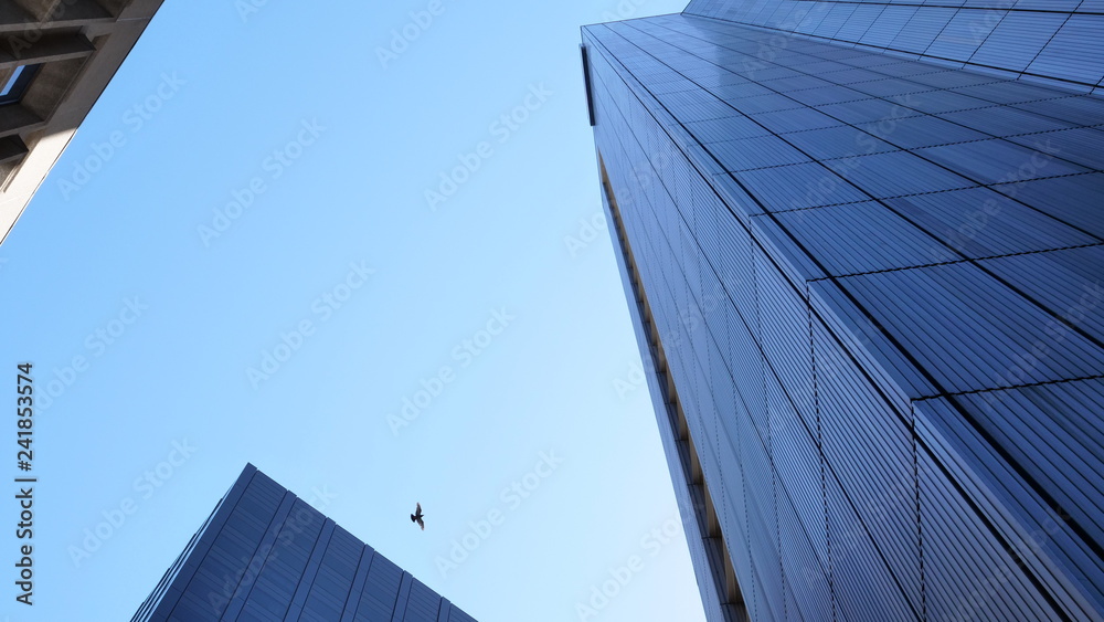 Bird and buildings Bird and buildings