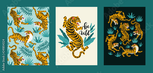 Vector poster set of tigers and tropical leaves. Trendy illustration. photo