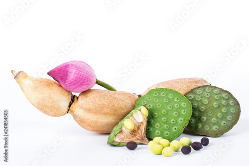 Lotus root / lotus / lotus seed photo