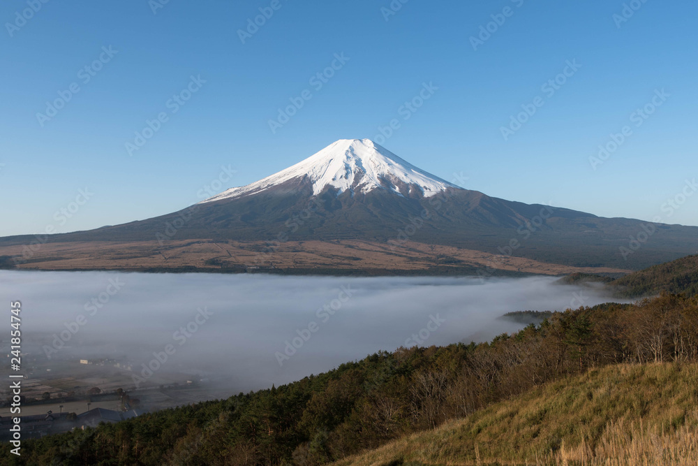 富士山 雲海 忍野村 景色