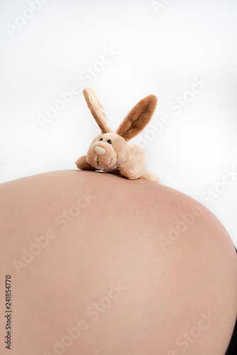 Stoffhase als Spielzeug auf dem runden Babybauch einer schwangeren Frau photo