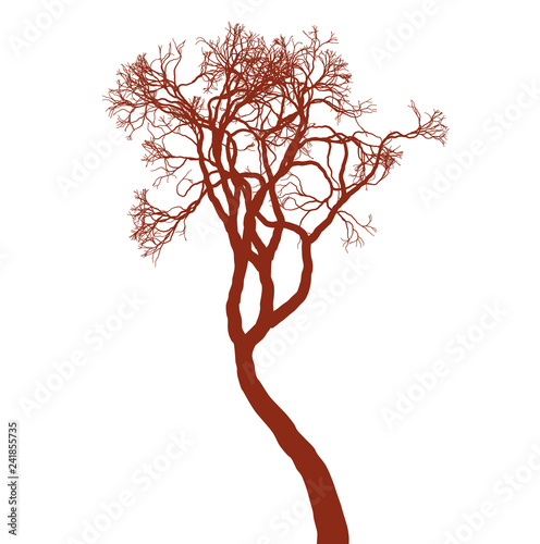 Leafless tree silhouette on white background. Fine detailed realistic design element.
