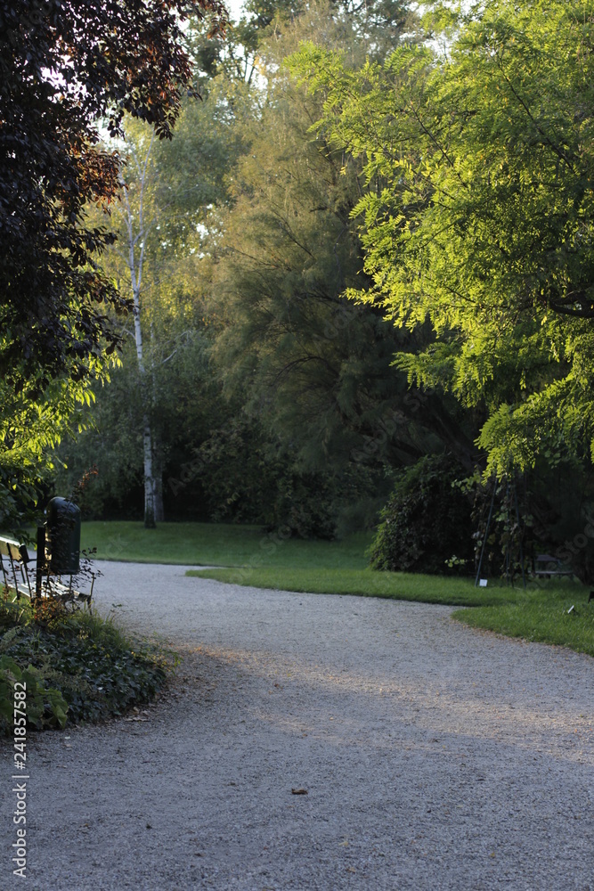 Obraz premium botanical garden vienna