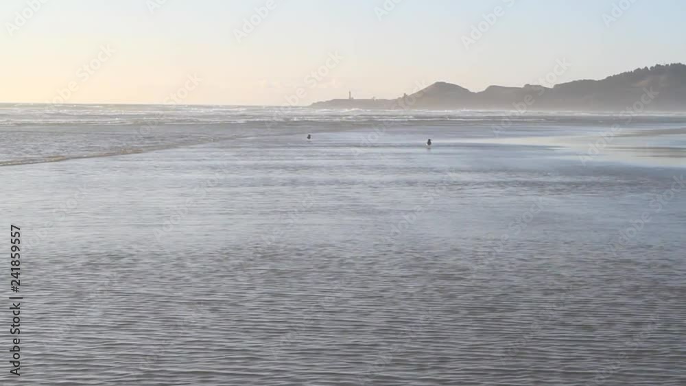 Pacific Ocean beach with waves. Pacific Ocean beach with waves.