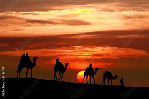 caravan Walking with camel through Thar Desert in India  Show silhouette and dramatic sky