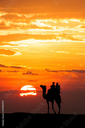 Walking with camel through Thar Desert in India  Show silhouette and dramatic sky