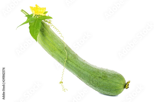 Loofah on white background