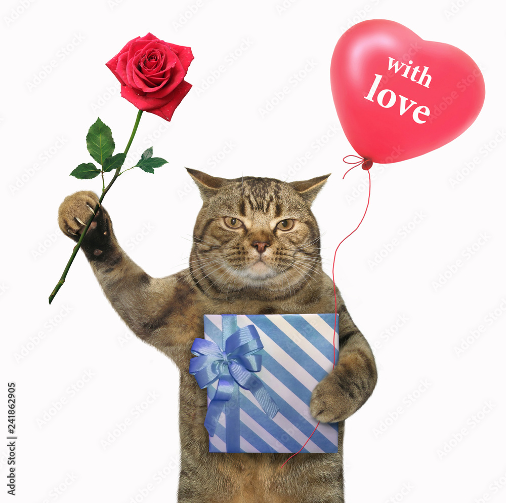 The cat holds a blue present box, a red rose and a heart shaped