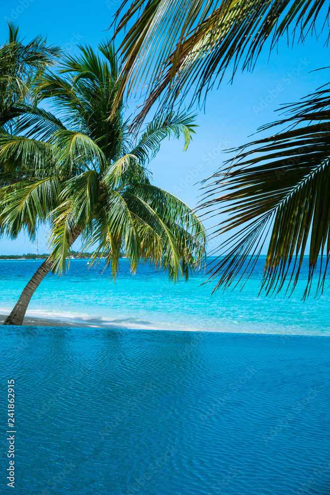 Obraz premium Swimming pool near sea view and coconut tree on clear sky day.