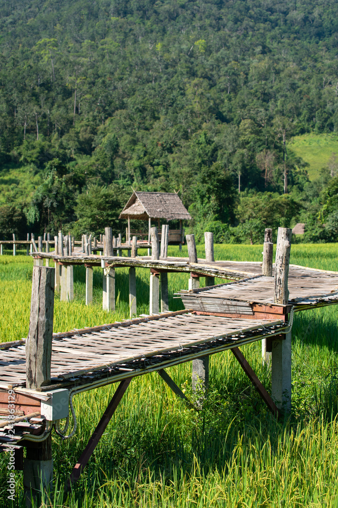 Bamboo weave walk way bridge over rice field.