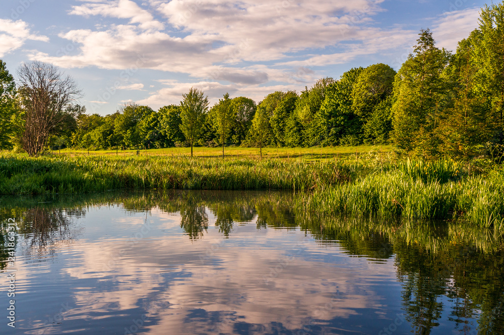 Fototapeta premium Reflections of the trees and clouds in a blue lake water on a beautiful Spring day. Mirrored landscape.