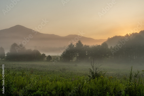 Morning Fog Hangs Over Cades Cove