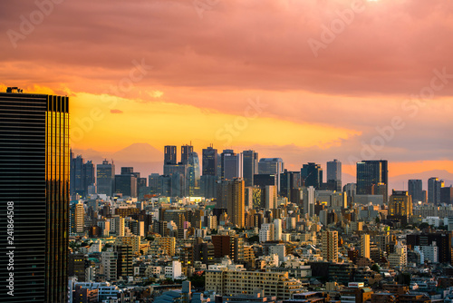 Photography Shinjuku view and Mountain fuji in Japan