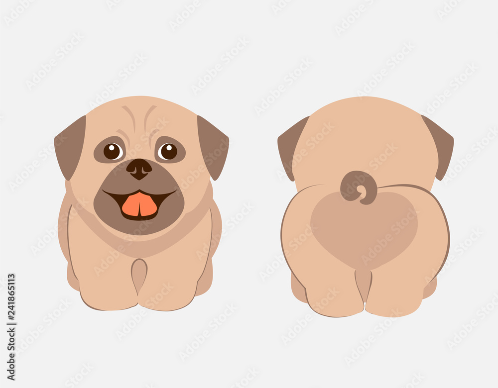 Cute puppy front and back vector illustration. Pug  breed dog funny cartoon. T-shirt and card design. 