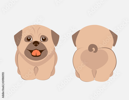 Cute puppy front and back vector illustration. Pug  breed dog funny cartoon. T-shirt and card design. 