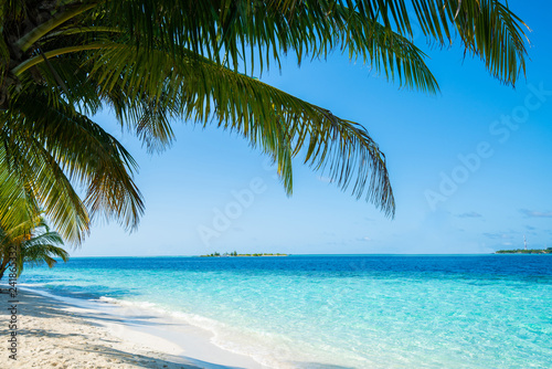 Wave of tropical sea beach on white sand with coconut leaf edge frame. © happystock
