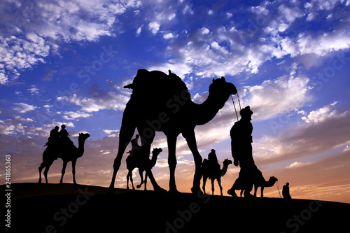 Caravan Walking with camel through Thar Desert in India  Show silhouette and dramatic sky