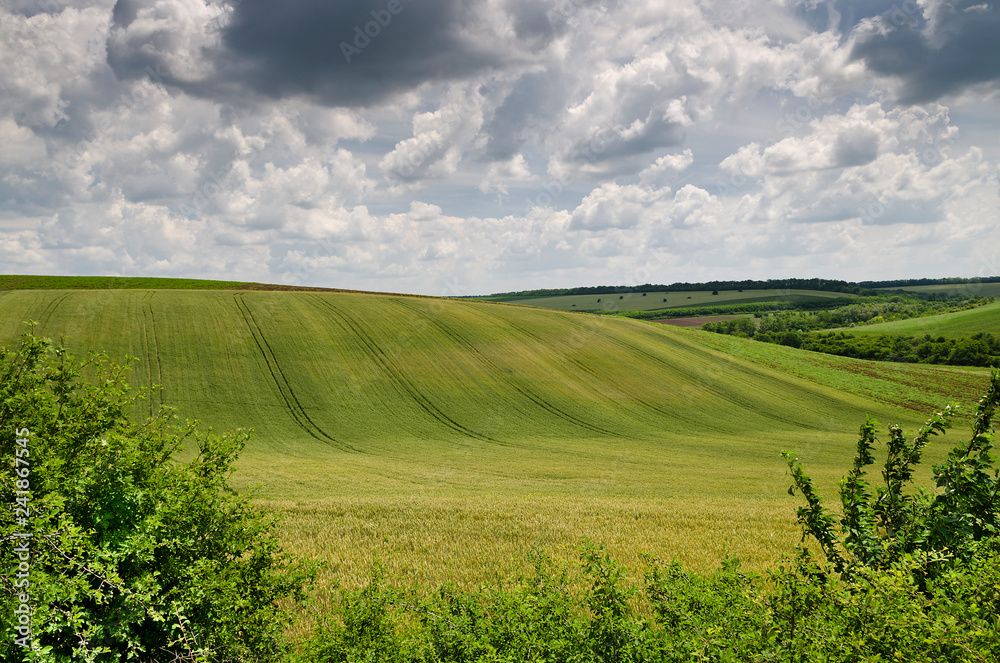 Fototapeta premium Dramatic Blue Sky, Meadow and a tree near the village Belitsa
