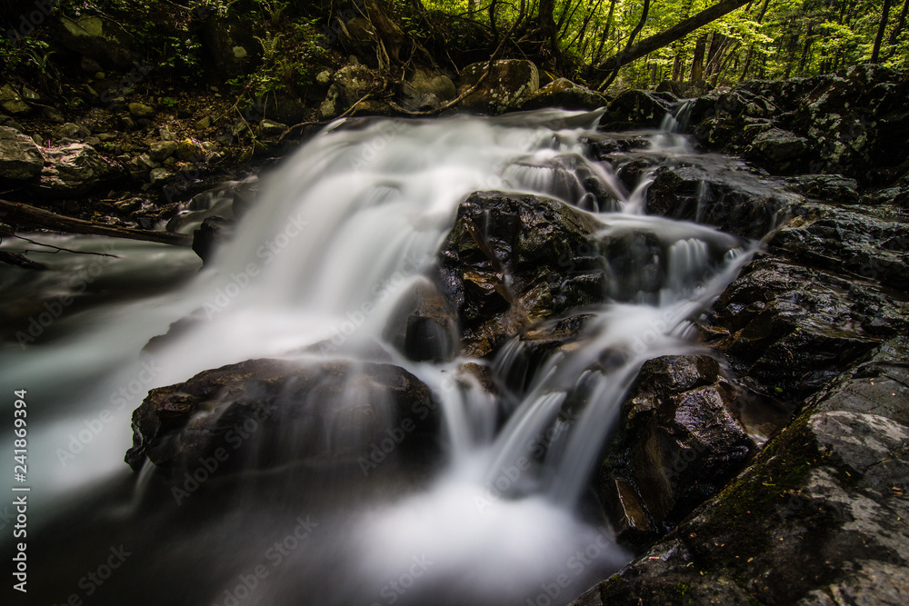 Beautiful falls in the forest Beautiful falls in the forest
