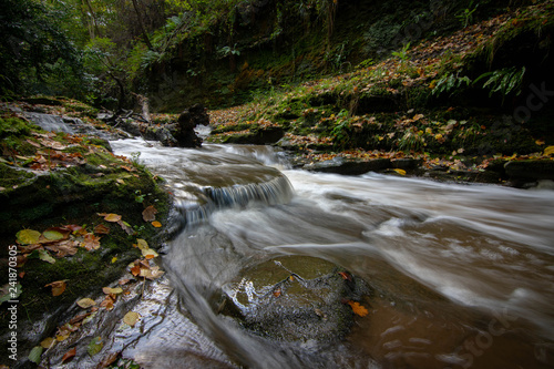 Fotografi Skelton Beck