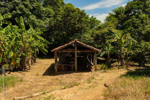 sugar cane house in color