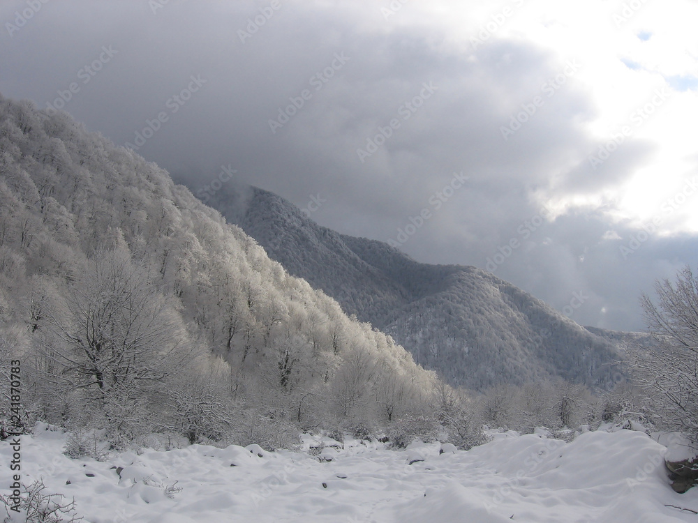 Obraz premium mountains in winter