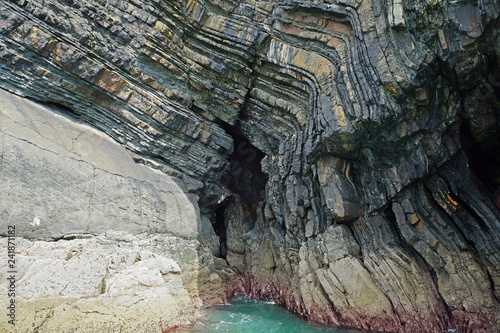 coast - Dolphin tour, Carrigaholt, co clare, ireland photo