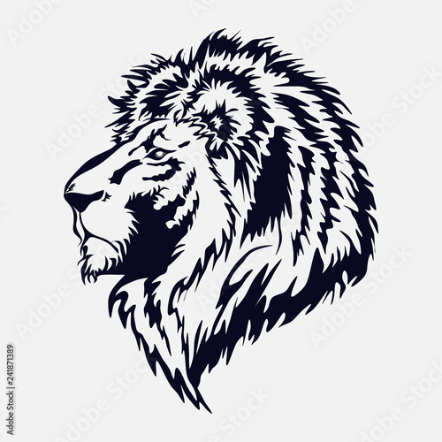 lion head, by the royal cat, the king of beasts