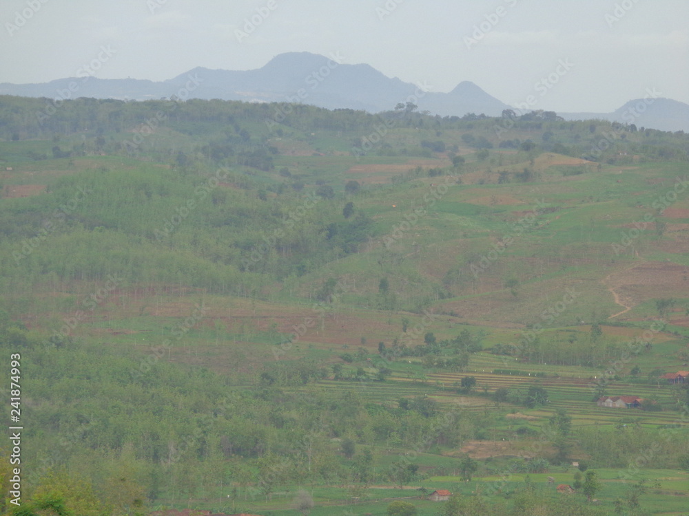 Obraz premium Beautiful Village In The Middle Of The Teak Forest