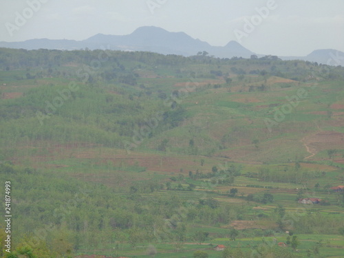 Beautiful Village In The Middle Of The Teak Forest