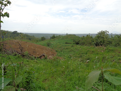 Beautiful Village In The Middle Of The Teak Forest