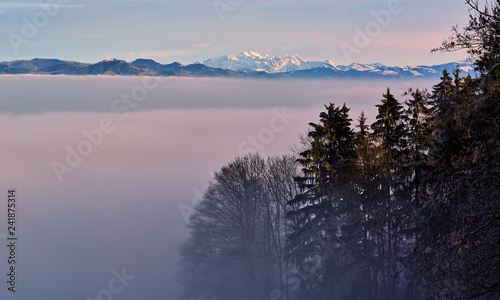Foggy misty forest landscape with old fir trees catching the last sunlight and the Glarus alps with snow covered mount Saentis at sunset in winter.