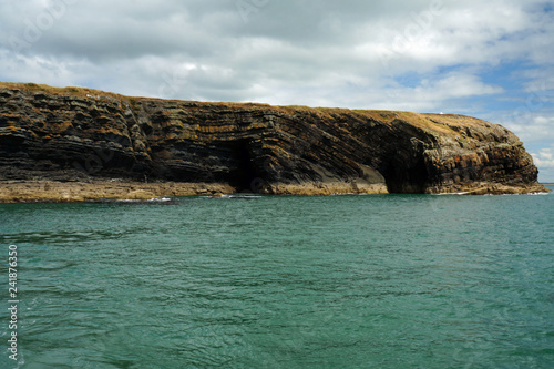 coast - Dolphin tour, Carrigaholt, co clare, ireland photo