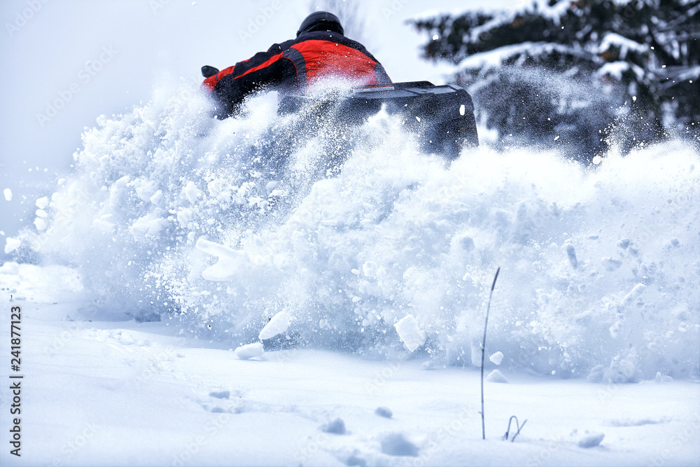 Obraz premium Winter walk on the quad bike in the forest.