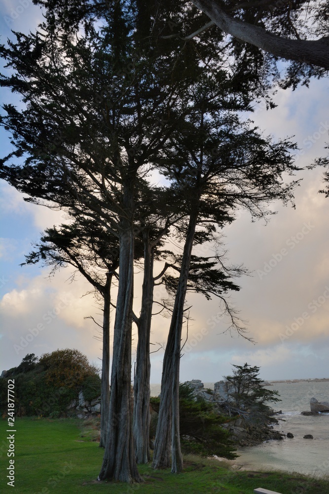 La crique du voleur à Port-Blanc Penvénan en Bretagne. France La crique du voleur à Port-Blanc Penvénan en Bretagne. France