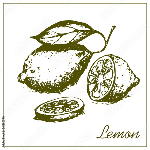 Schilderij op canvas Painted lemon