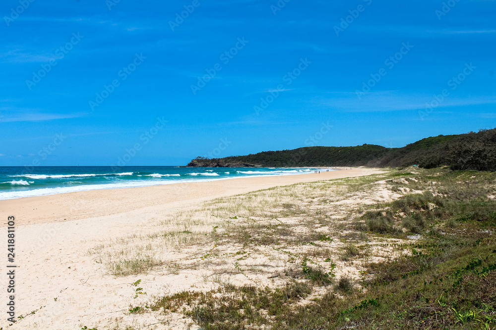 Beautiful empty beach in Noosa National Park on a clear summer day with blue sky and white beach (Noosa Heads, Queensland, Australia)
