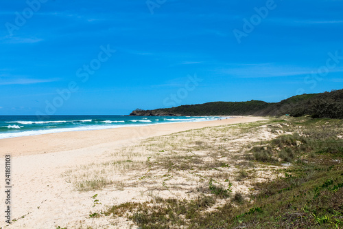 Beautiful empty beach in Noosa National Park on a clear summer day with blue sky and white beach (Noosa Heads, Queensland, Australia)