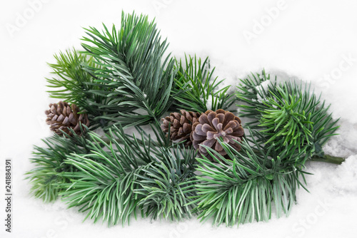 Fir spruce branch with fir apples on the white snow background in winter forest